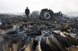 Máy bay Su-25 của Ukraine đã bắn hạ MH-17?